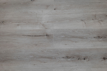 SPC винил Steinholz Линцский замок (Linz Castle) STH006